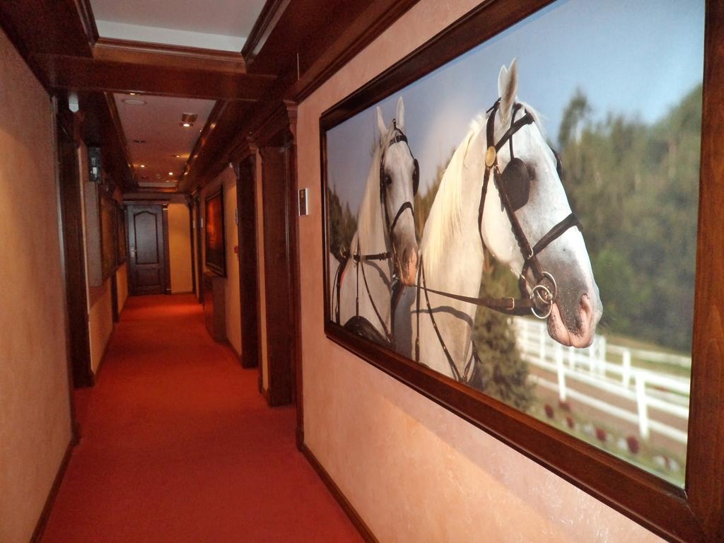 Panorama City Inn 스렘스키카를로브치 외부 사진